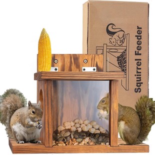 �羳ľ�|����ιʳ�����⻨�@ι�B��������ιʳ������Ͷʳ����ʳ��