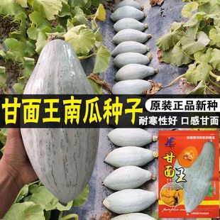 �������ϹϷN�������ϹϷN�Ӱ���ؐؐ�Ϲ��ѳ�ϴ����ļ���Ŵ����