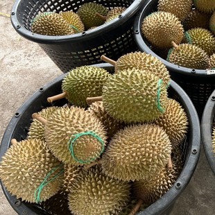 25�����D197؈ɽ����ɏBB8�^�R���M��Һ����������������l���l