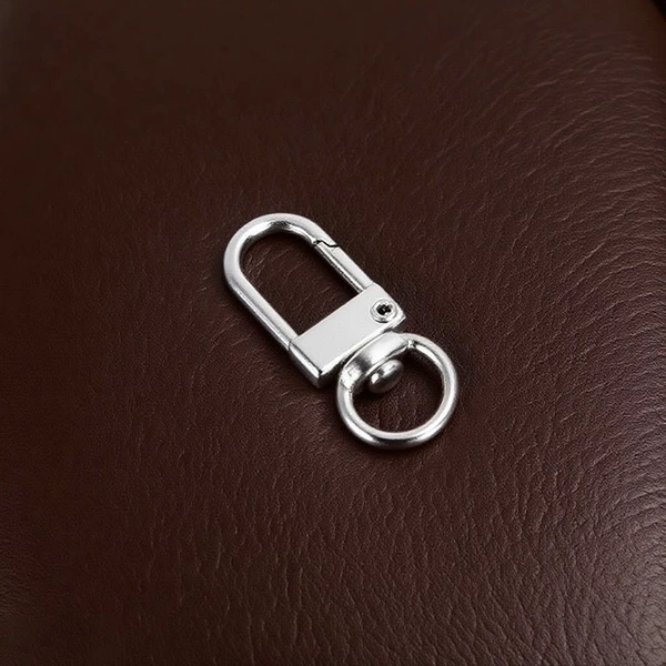 Door buckle-silver