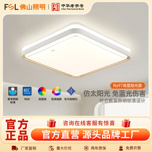 FSL��ɽ����led������픟��F�����s���Ο��߷��g�^������2025�¿�