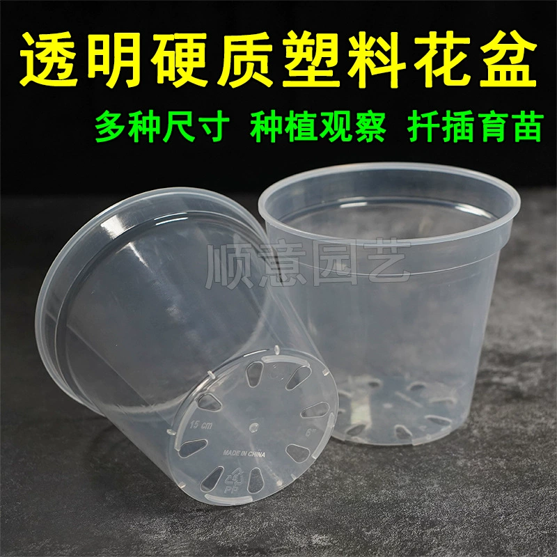 透明硬质塑料花盆石斛蝴蝶兰花秋海棠海芋扦插试验观根繁殖育苗杯