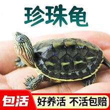 ���A�������������L�����^�p����������ɐ�С���������Z