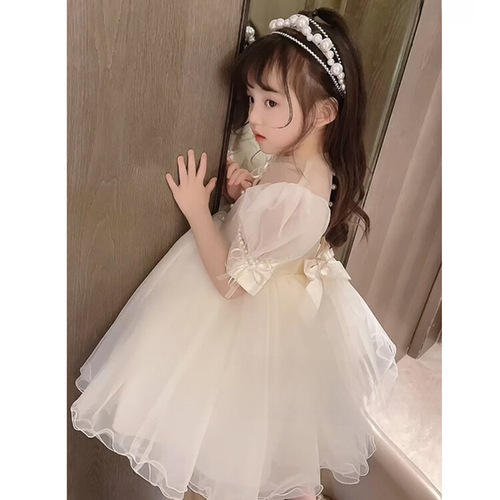 Princess Dress for Girls, Summer Puff Dress, Birthday Formal Wear for Kids, Baby Children Summer Outfit Performance Dress, Stylish Little Girl Dress
