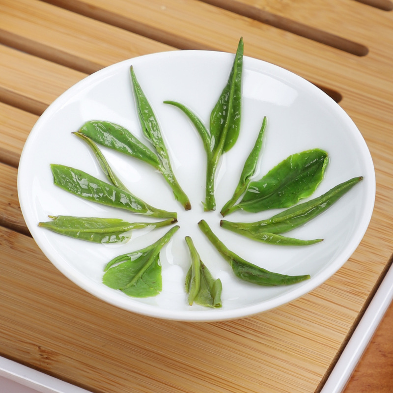Longjing Dragon Well Green Tea 2024 Spring Pre-Qingming Rich Aroma Hangzhou Bean Fragrance Loose Leaf 50g Wooden Lid Clear Jar in use