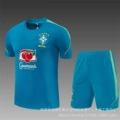 2627 brazilian lake blue training set