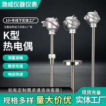 ���żPt100�ضȂ������b��ʽ�̶��ݼyһ�w���ضȂ��������ż