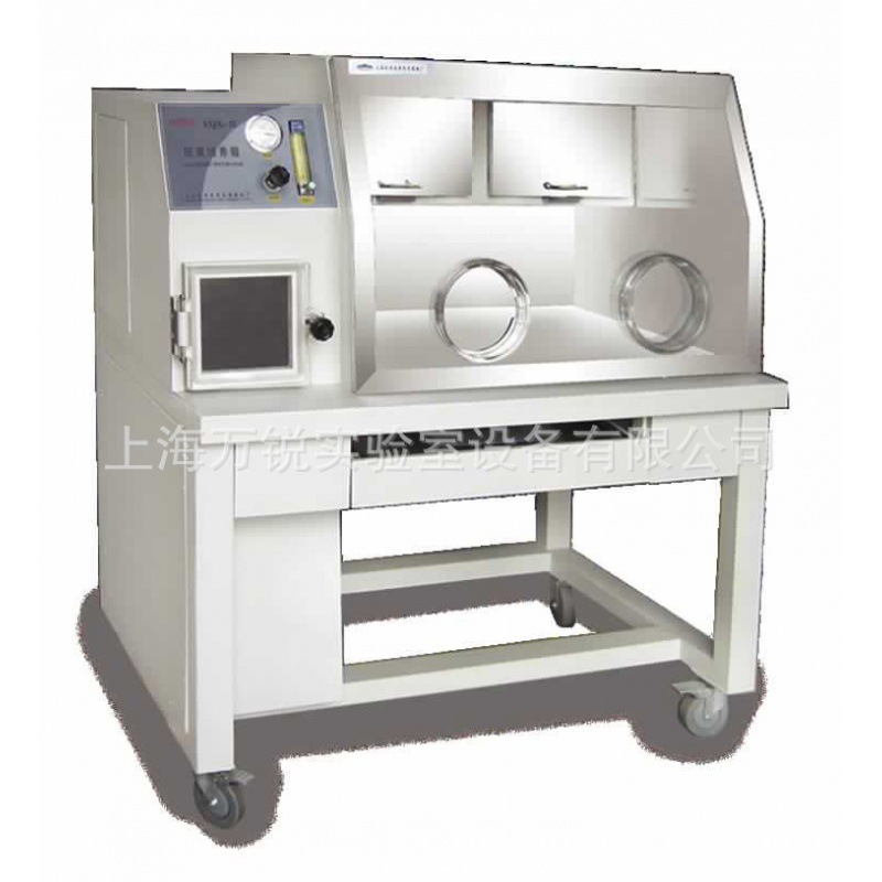 厌氧培养箱 厌氧工作站 厌氧菌试验箱