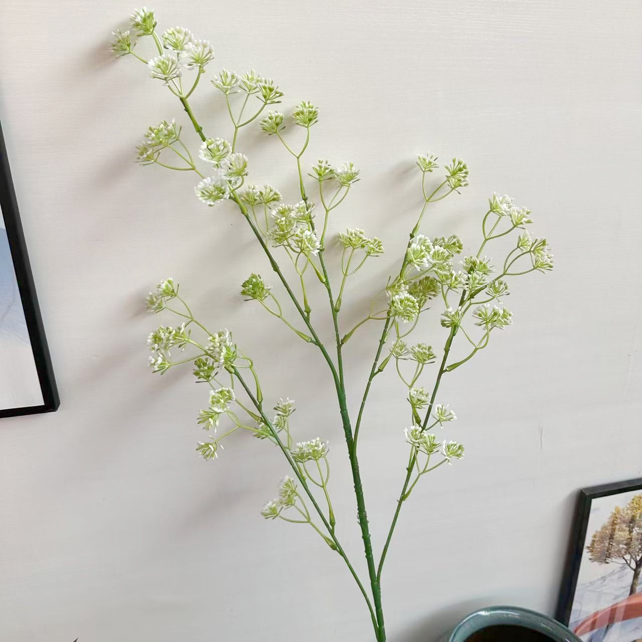 新满天星 白绿