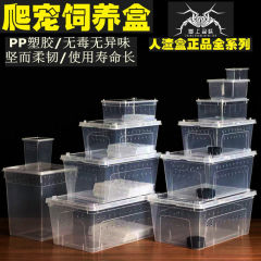 爬虫類の飼育箱はペットの箱に登ります。