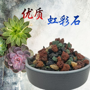Manufacturer's Spot Succulent Paving Stone Iridescent Stone Five-In-One Granular Soil Nutrient Soil Cultivation Substrate Rainbow Stone Granules