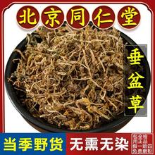 药用垂盆草500g干锤盆草材野生泡水垂盆草泡茶