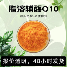 ֬���oø Q10 �Sɫ��ĩ�����ˮ�o�����ζ�����⃦ܷ�� �F؛���l