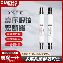 铭高SDLDJ-10KV户内高压限流熔断器XRNT1-12/3.15A-40A变压器使用