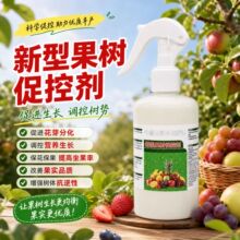 新型果树促控剂控梢控旺控叶促花膨果着色保花保果控旺生长