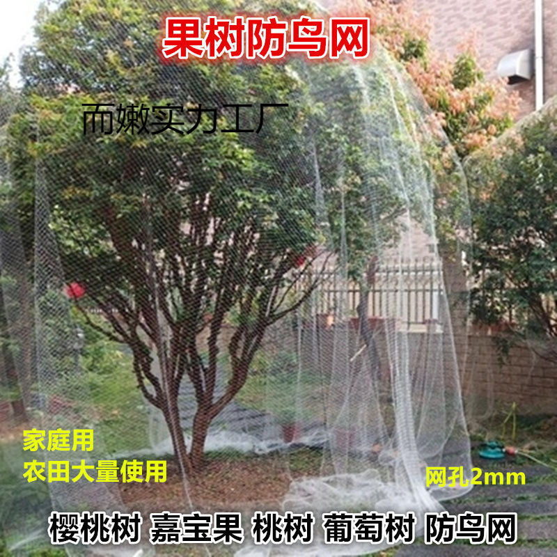 果树专用防鸟网樱桃树葡萄蔬菜防护罩尼龙网网罩果子防鸟网子严选