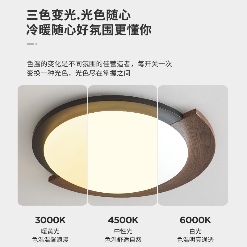 Medio vintage wabi-Jifeng retro creativo diseñador de protección ocular color nogal dormitorio dormitorio lámpara de techo de hierro forjado