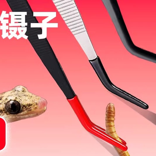 乌龟爬宠守宫角蛙龙鱼喂食镊子宠物硅胶喂食夹子加长不锈钢喂食器