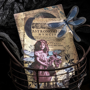 ��Ԋ�ͼ��N���� ���o�ؑ�ϵ�� ����͹������֎�����b��ز�ƴ�N