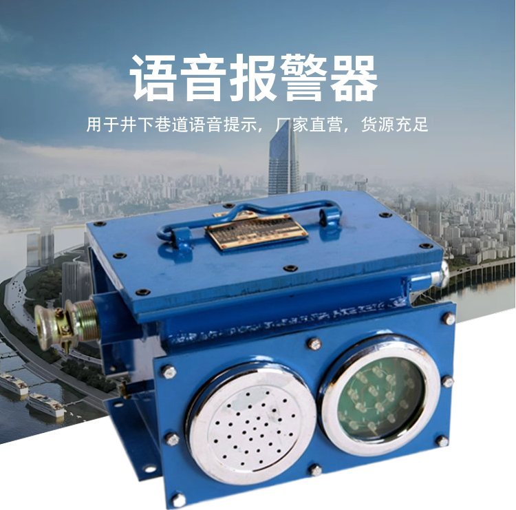 报警器 (5)