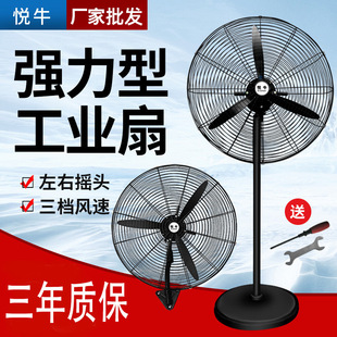 ���l���I�L�ȏ����������L�ȴ��L�����ʓu�^��ţ�Ǵ��L������