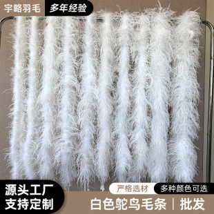 �r�Bë�l6-18cm���ܼӺ�����r�B�z�q�l�r�Bëë�l��ë�l���b�o��