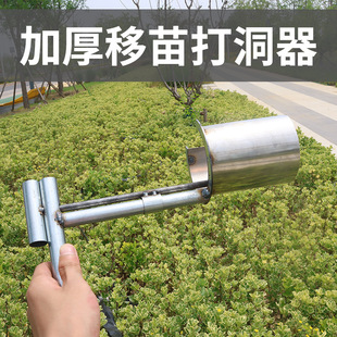 Planting Tool for Transplanting Seedlings, Metal Gardening Tool for Transplanting Vegetables, Digging Holes, and Planting Seedlings