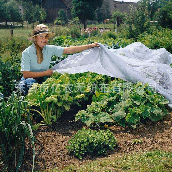 O1CN01vUIGo71bWgWeU6uE2_!!2924243473-0-cib.jpg?__r__=1725867508630