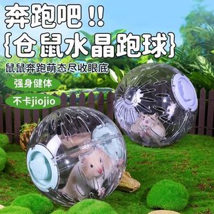 Hamster Running Ball Running Wheel Roller Silent Sports Ball Bracket Golden Bear Squirrel Supplies Running Ball Rolling Ball Outdoor Ball