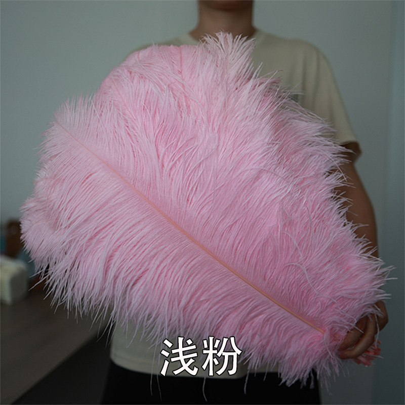 55 - 60cm plumas de avestruz de Sudáfrica al por mayor accesorios de ropa DIY accesorios materiales accesorios de diseño de boda lana de avestruz