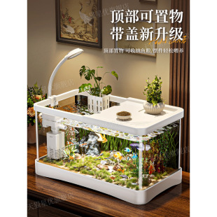 �~��С�Ϳ͏d2026�¿��^�V����һ�w�C�����쾰ȫ�����B�����B�~��