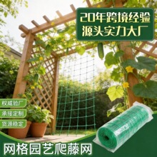 植物爬藤网绿色园艺方格子黄瓜吊瓜攀爬网支架菊花抗风抗倒伏网
