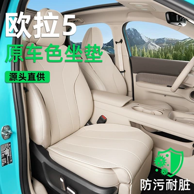 cushion, 26 models, special all-season | Seat cushion, seat cover