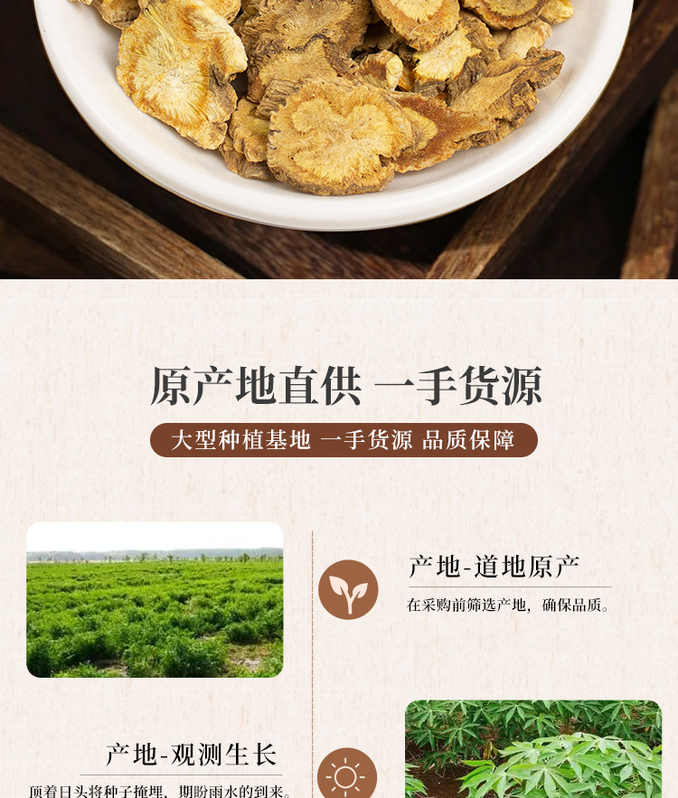 Fang Feng Dried Saposhnikovia Root 防风 Bulk Traditional Chinese Herb for Decoction and Herbal Soup quality and texture