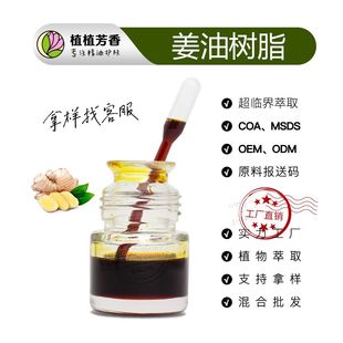 ���͘�֬ ���R����ȡ������ ����ԭ����Ginger Oil �Ͻ������l