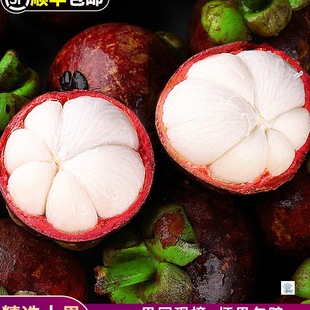 ��S̩��ɽ�����r���10�ﮔ������Fժ�M������������6a�r��ˮ��