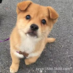 ���A��@Ȯ������ȮС��С�S���ڹ����ҹ���ι�B������