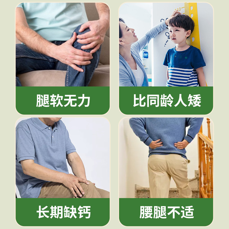 北京同仁堂高カルシウムキュウリ種粉|undefined