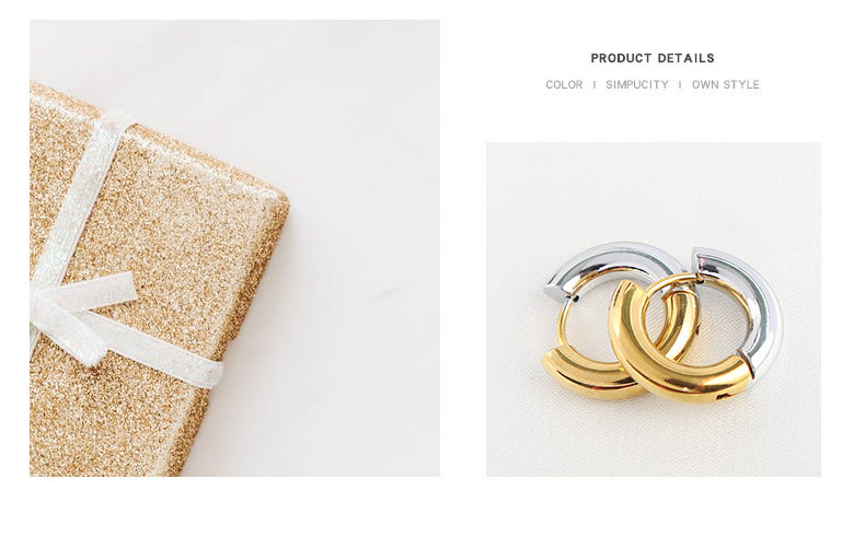 Fashion Color Block Stainless Steel Plating Earrings 1 Pair