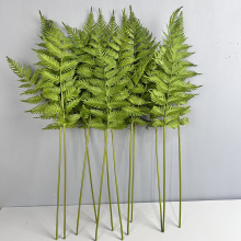 单支蕨叶植物波斯叶墙配材插花装饰铁树叶 仿真蕨类植物小蕨叶