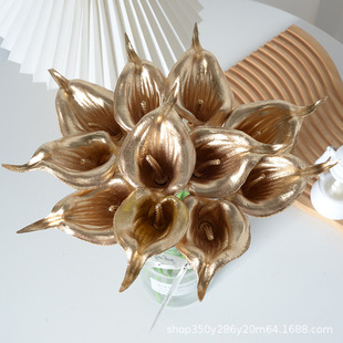 �����R��ɏ��ɫ�yɫpu�ָмٻ���c�������羳���Q�Ҿӄ����b�