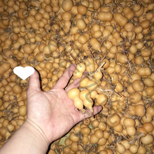 ���J��ȻС���J�]��覴��������Π��������]�п��Ԕ[��Ұ�������F