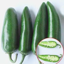 ��̷N�I�۽��ӏ��^�����N�� �r��ˈ@���ز��N���r�ɳ������N��