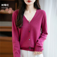 2025¿Ͻqᘿ_ŮVIɫɌɰٴseϵ