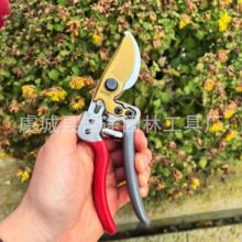 SK5钢修枝剪园艺剪刀剪树枝剪刀园林修剪果树修枝花艺修花剪