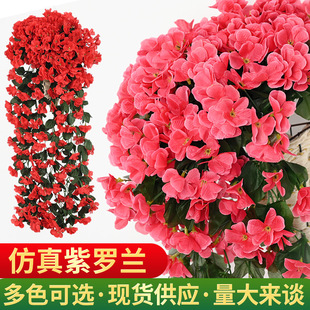 ���滨���ٵ��@�������_�m�ڒ��c�Ҿ��b�Ʒ�ٻ����滨�����l