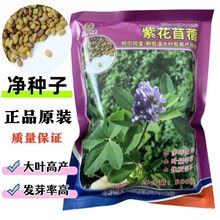 MϻޣݷNӿʳô~ޣľ횲BӲţݷN