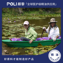 ̩���M���{ɏ������ԭ���M�ھ���ԭ�ϏS�����l �H����Ȼ����ԭ��