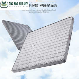 家用席梦思冬夏小绵羊冰丝椰棕床垫10公分榻榻米床垫透气天然床垫