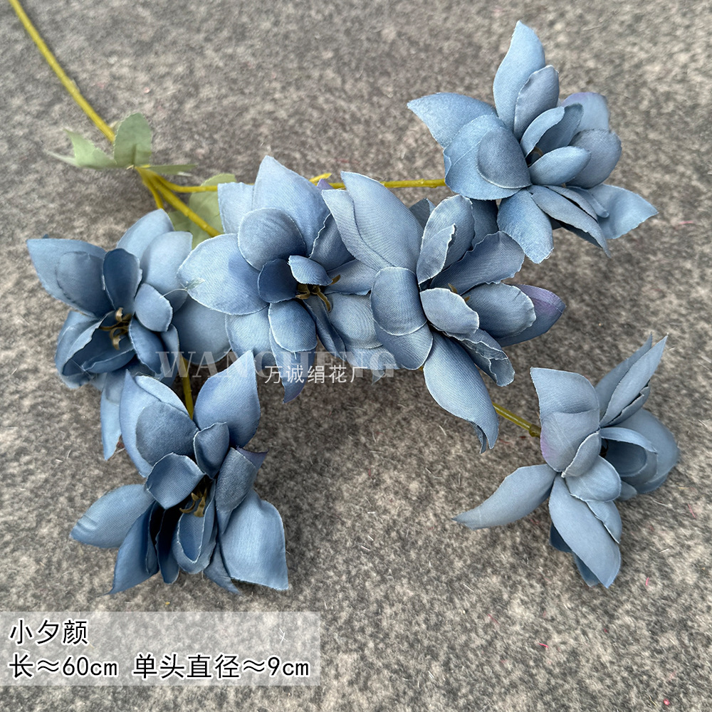 Little Xiyan-haze Blue